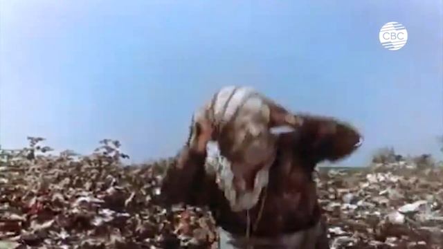 «В объективе Волшебный халат»