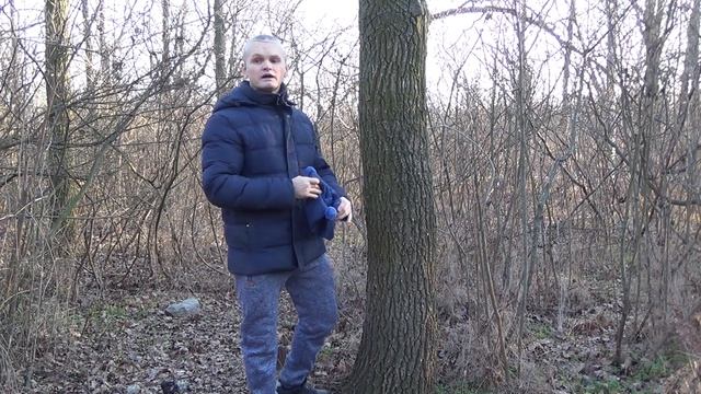 Стихия дерева. Помощь, и набор, увеличение энергии, убирание проблем. смотреть онлайн