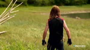 Борьба за территорию - Аляска семья из леса