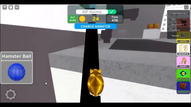 How to get the golden hamster & golden apple badge in hamster simulator - Roblox смотреть онлайн
