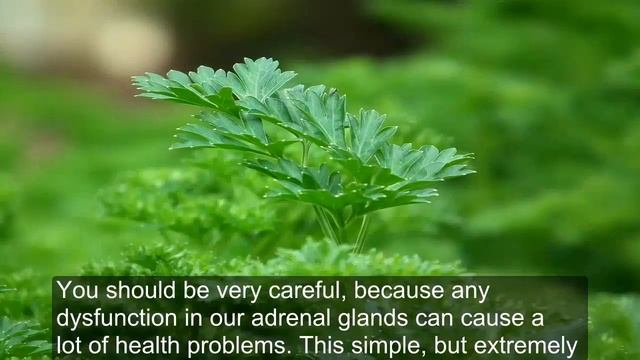 You Need to Eat This if You Have Hair Loss, Brittle Nails or You’re Not Sleeping Well смотреть онлайн