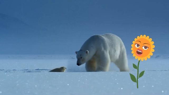 0+ Полярные медведи. Интересные факты. Почемучка. Энциклопедия для детей. смотреть онлайн