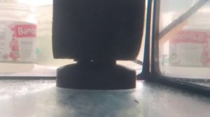 Ч2.Тернеции.От икры до малька.Уход и кормление.Секрет поднятия малька#нересттернеции#малёк