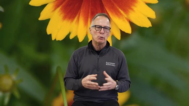 #24 - Plant Tips   Uptick Coreopsis