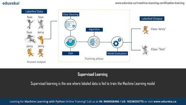 Python Machine Learning | Introduction To Machine Learning With Python | Edureka | ML Rewind - 1 смотреть онлайн