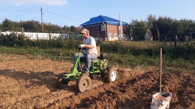 Мотоблок с передним адаптером. Копаю картошку