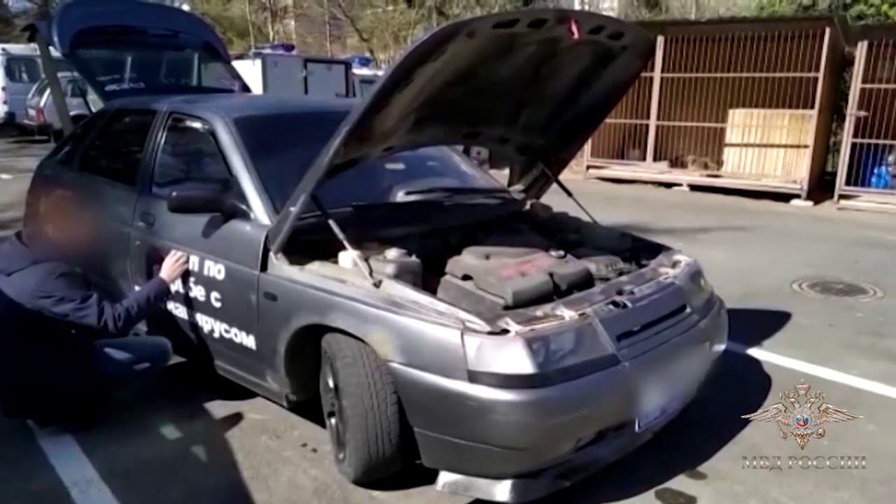 В Крыму поймали «сотрудника отдела по борьбе с коронавирусом» смотреть онлайн