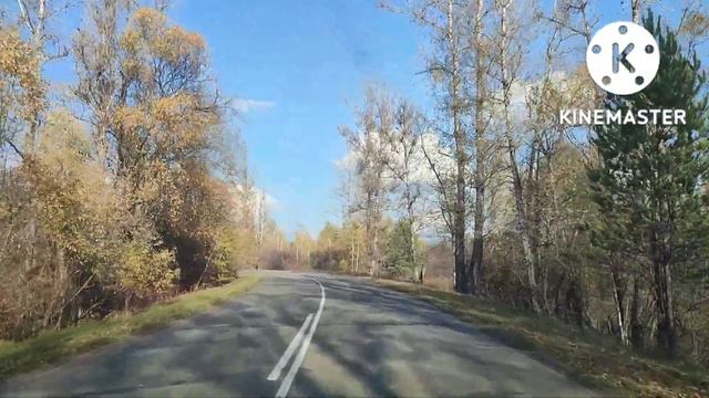 1353.Сказочная природа Сибири. смотреть онлайн