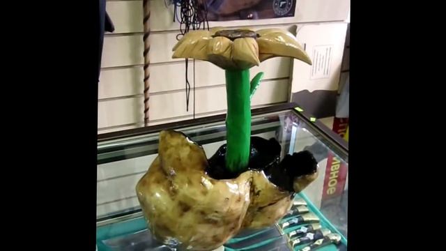 У Сан Сергеича. Берёзовый кап и что из него вышло ! смотреть онлайн