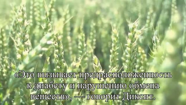 Ученые выяснили, почему с возрастом растет живот — Статья смотреть онлайн