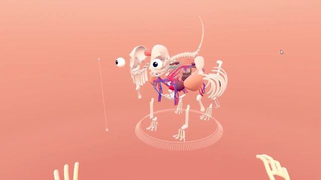 Cat Explorer by Leap Motion FPV Capture on HP WMR headset смотреть онлайн