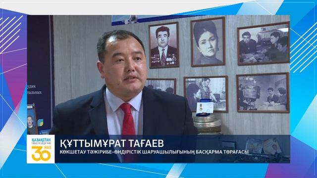 Тагаев Куттымурат Жургенбайулы, Председатель Правления ТОО Кокшетауское ОПХ. с.Чаглинка; смотреть онлайн