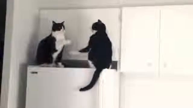 Катечка, с Днем Рождения!:) смотреть онлайн