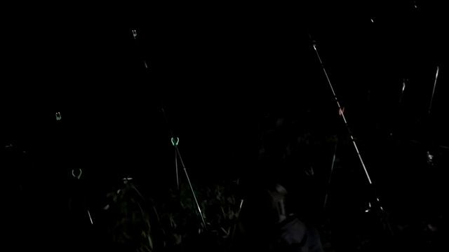 Рыбалка Улет. Ловля сома на донки. Чуть не убился из за сома. Гороховатка день 3 # День рыбака # смотреть онлайн