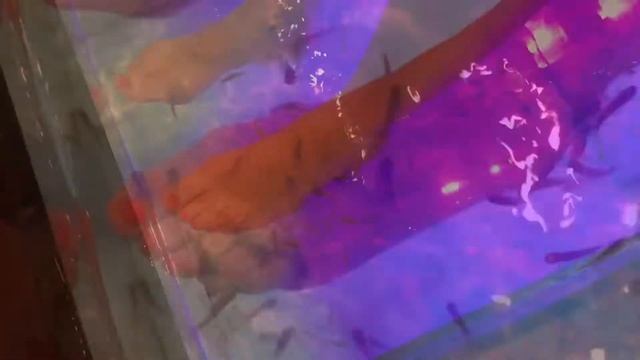 Fish Pedicure смотреть онлайн