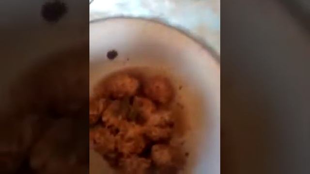 Готовлю для кур японские блюда