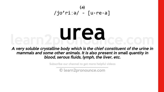Pronunciation of Urea | Definition of Urea смотреть онлайн