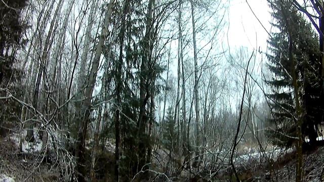 на даче во Владимирской области смотреть онлайн