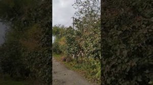 Вынесли электрический счётчик на улицу ч.2