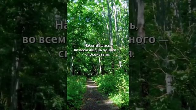 Рано или поздно смотреть онлайн