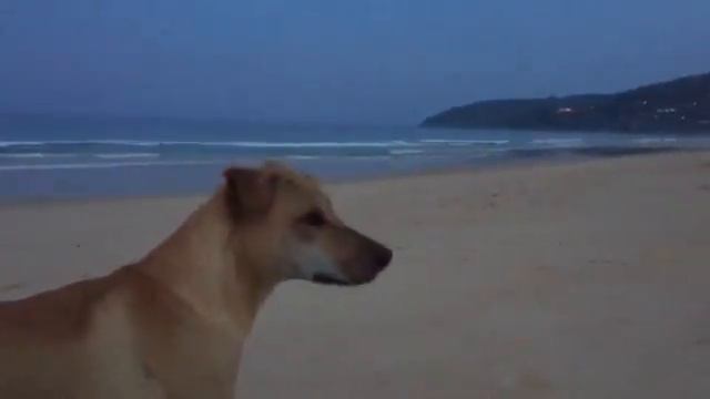 16 января 2017 г. ПОГОДА в ТАЙЛАНДЕ смотреть онлайн