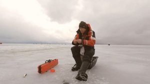 Окунь и плотва на Чудском озере. Зимняя рыбалка