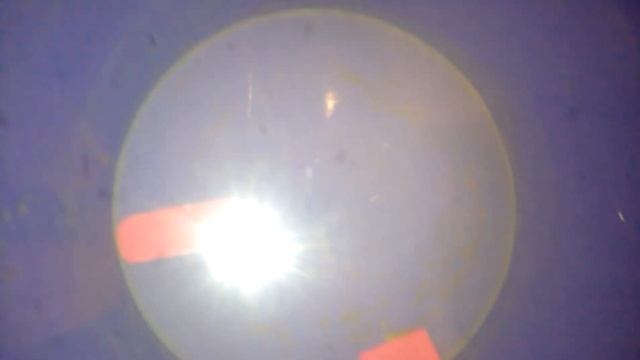 Головастики в воде смотреть онлайн