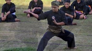 САМЫЕ ОПАСНЫЕ боевые искусства