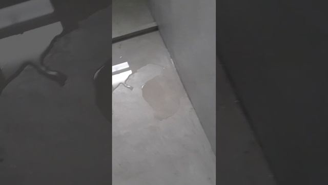 Cách Chống Thấm Nước Nhà Vệ Sinh | Test Chống Thấm Nhà Vệ Sinh Bằng Xi Măng VIPRI