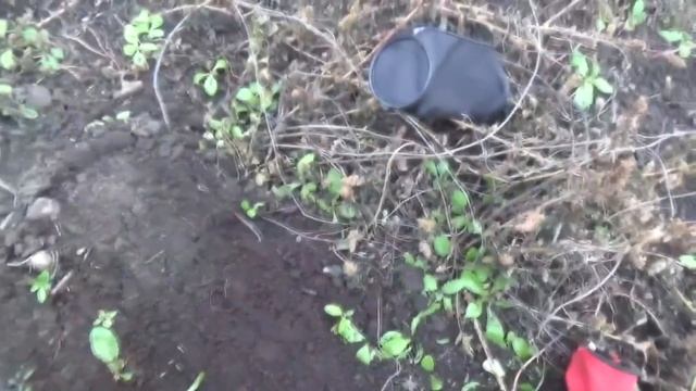 #Вне закона! Бабку и её огород надо спасать... смотреть онлайн