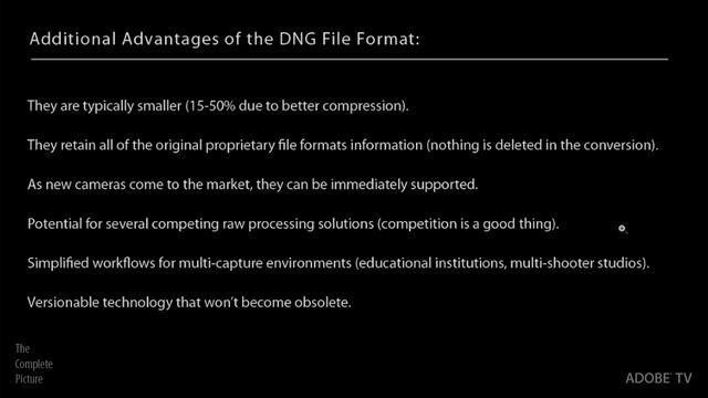 The Advantages of the DNG File Format смотреть онлайн