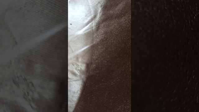 МУХИ ГРЫЗУТ УШИ СОБАКИ/ МАЗЬ ВИШНЕВСКОГО ПОМОГАЕТ смотреть онлайн