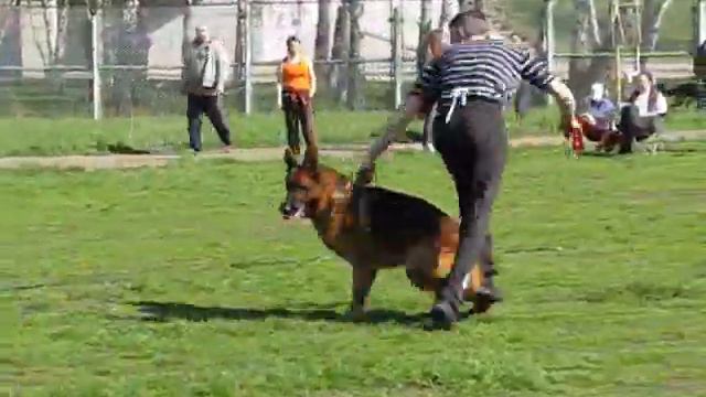 № 28 Рейген из Дома Алленс смотреть онлайн