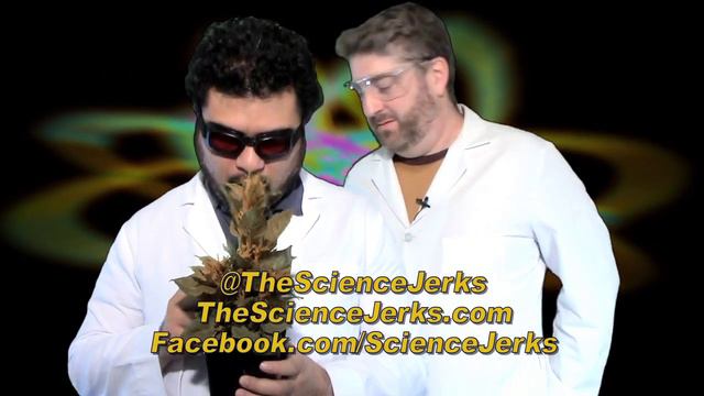 The Science Jerks News 46 - Nickel Eating Plant смотреть онлайн