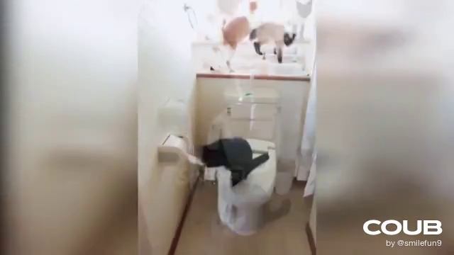 1609880338_looped_1609880334.mp4 смотреть онлайн