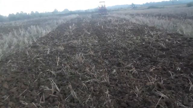 TRAKTOR RODA 4 GATRA GT3 498 MENGOLAH LAHAN TEMBAKAU MADURA смотреть онлайн
