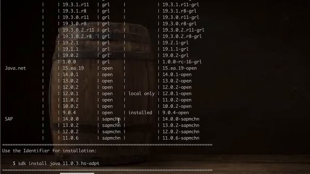 Install JDK using SDKMAN смотреть онлайн