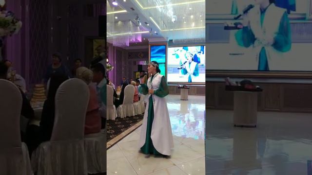 Жагымдуу үн патриоттук ыр. Жаныртылган ыр. Жагымдуу Айсулуу Эсенбек кызы "Кыргызым". смотреть онлайн