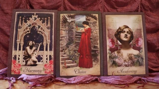 Weekly Oracle Card Reading for Nov 26 - Dec 2 смотреть онлайн