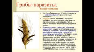 Царство Грибы. Грибы-паразиты