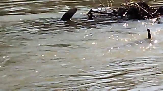 Из Сибири на Юг. Чем мы заняты на юге в Декабре. смотреть онлайн