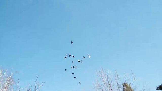 С юбилеем, Иркутская! от Александра Федотченко смотреть онлайн