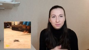 Биология. Формы поведения животных.Об этом и не только?
