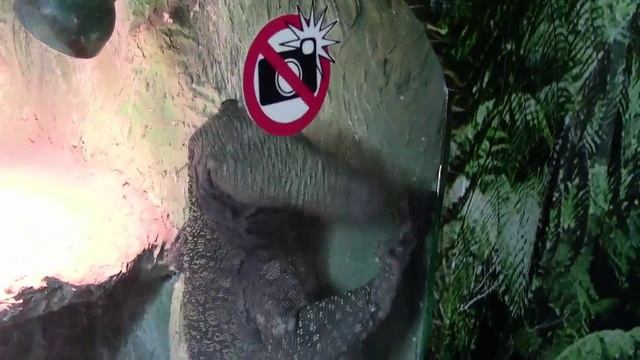 Crocodile monitor lizard in the Moscow Zoo / Крокодиловый Варан в Московском Зоопарке смотреть онлайн