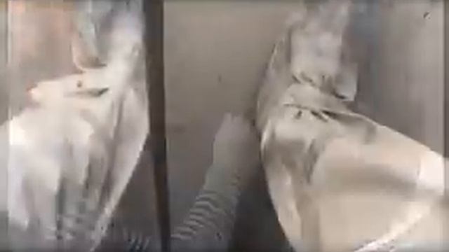 karmadon смотреть онлайн