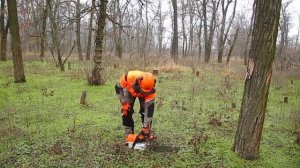 Обзор цепной бензопилы STIHL MS 462 | маг. «Добрий Господар»