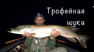 НОЧНАЯ рыбалка и ТРОФЕЙНАЯ щука. Будни нашей дачи.