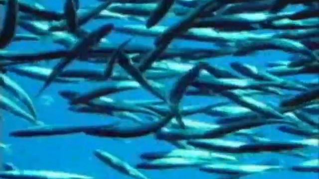 Моя планета {Д Ф } смотреть онлайн