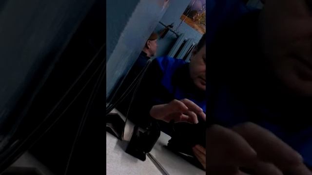 Бред сивой кобылы смотреть онлайн