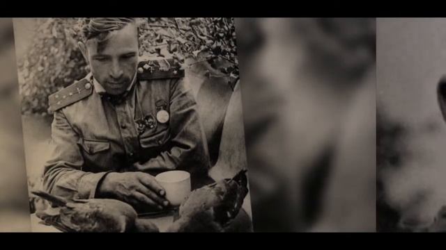 Моя SPARTA смотреть онлайн